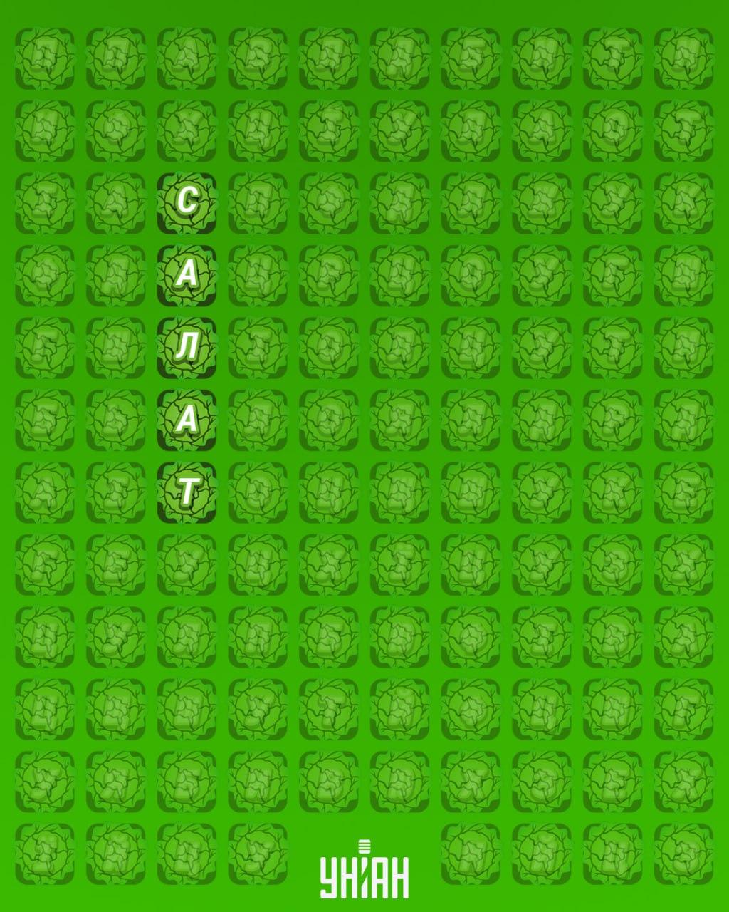 98% af befolkningen kan ikke finde ordet 'salat' på 12 sekunder: et meget vanskeligt puslespil