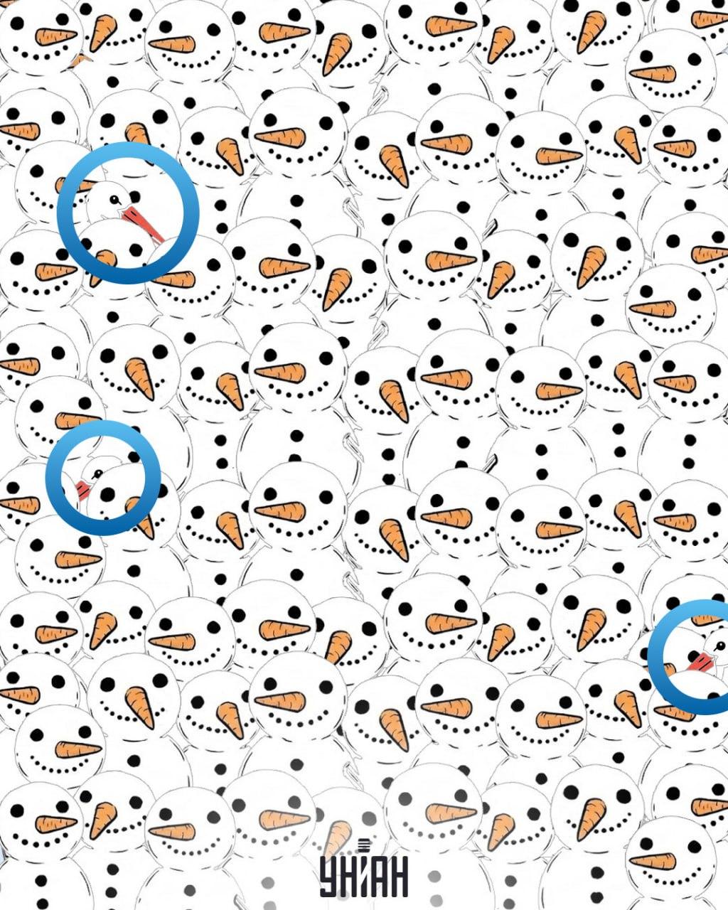 Find 3 storke blandt snemændene på 11 sekunder: en fantastisk optisk illusion