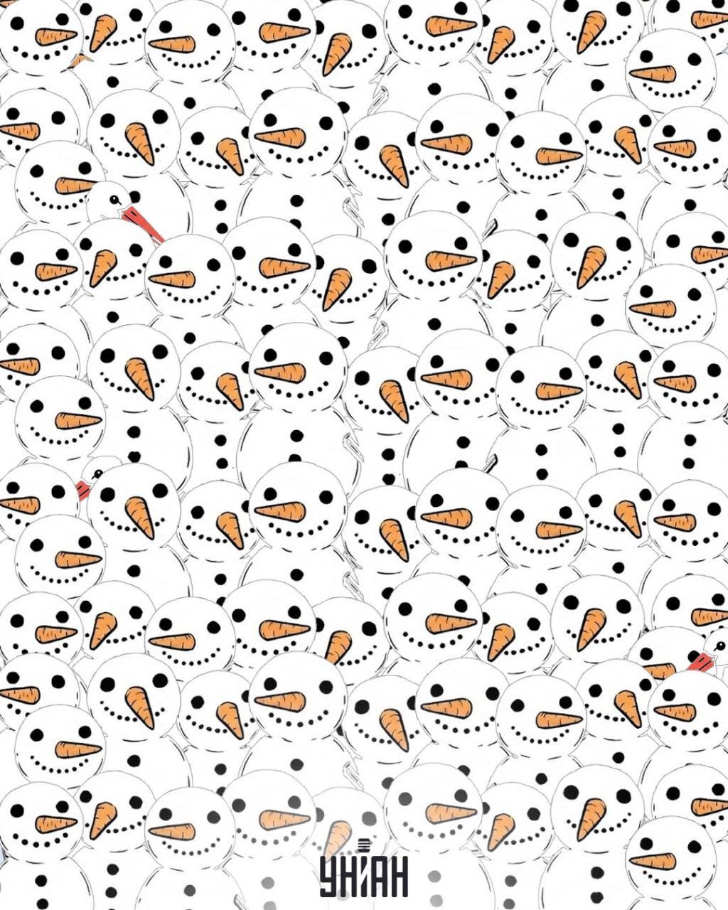 Find 3 storke blandt snemænd på 11 sekunder: en fantastisk optisk illusion