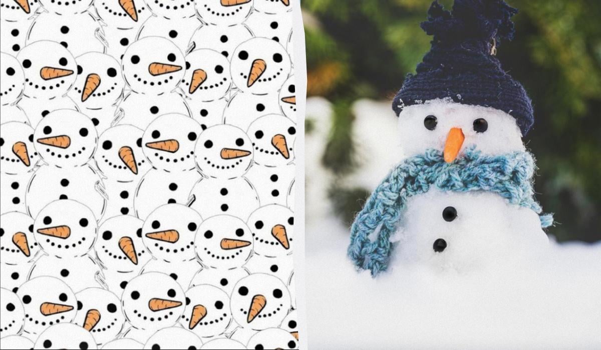 At finde 3 storke blandt snemænd på 11 sekunder: en fantastisk optisk illusion