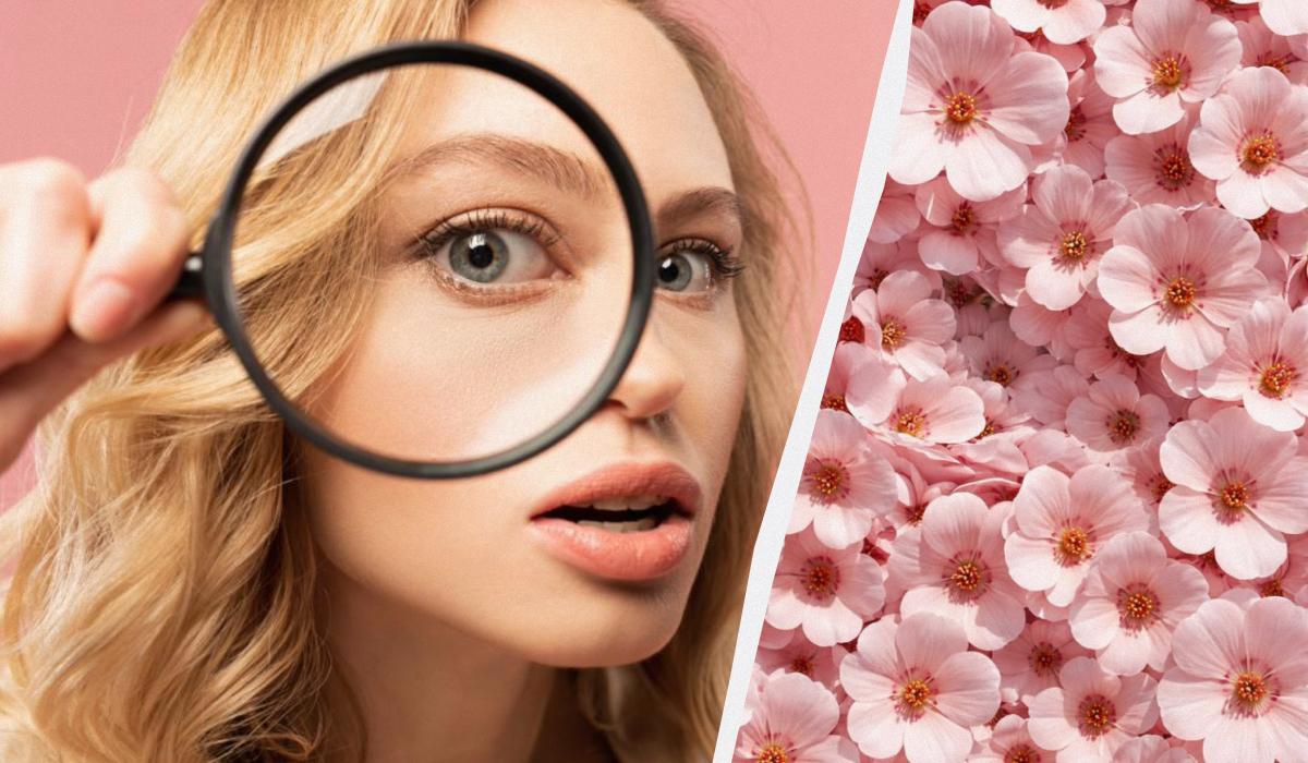 Kun 1 procent af befolkningen kan finde en kanin på 11 sekunder: en overraskende sofistikeret optisk illusion