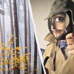 Kun 2% af befolkningen kan finde et egern i skoven