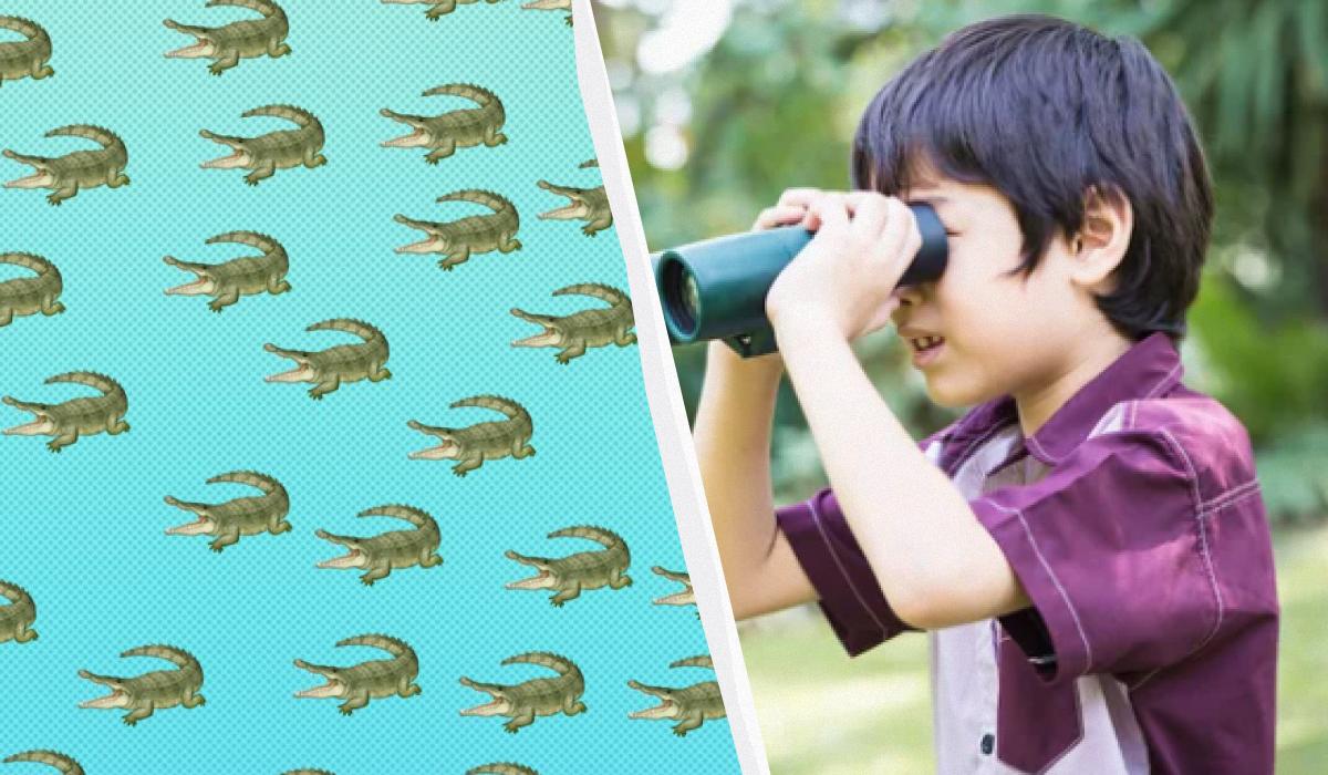 Kun en “titan” med en kolossal IQ kan finde en krokodille på 15 sekunder: en interessant optisk illusion