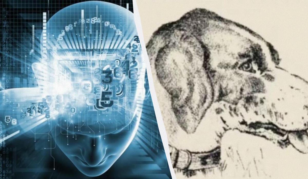 Kun folk med en utrolig IQ kan finde et ansigt på et billede på 9 sekunder: en ultrakompliceret optisk illusion